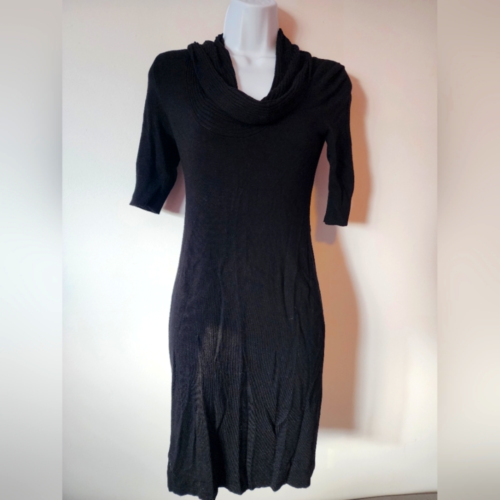 Express Sweater Dress
